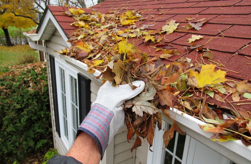 Commercial Downspout Cleaning